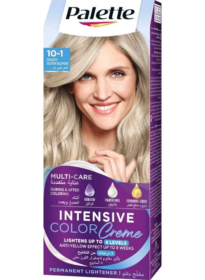 Palette Intensive Hair Color Cream 10.1 Frosty Silver Blonde