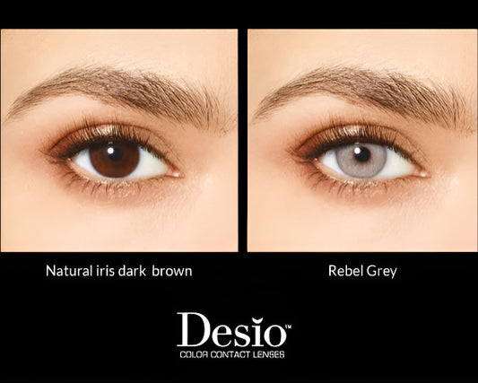 Desio attitude Rebel grey contact lenses daily